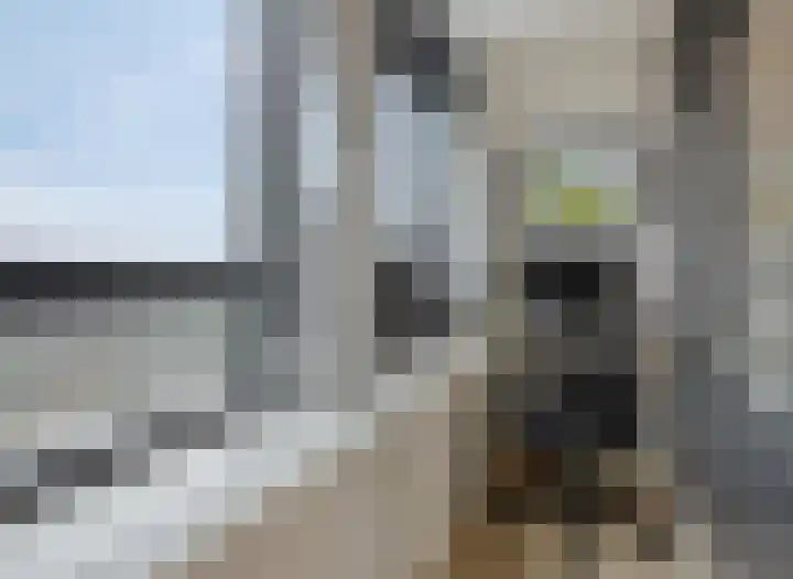 Laan van Vollenhove 568 Zeist thumbnail 16