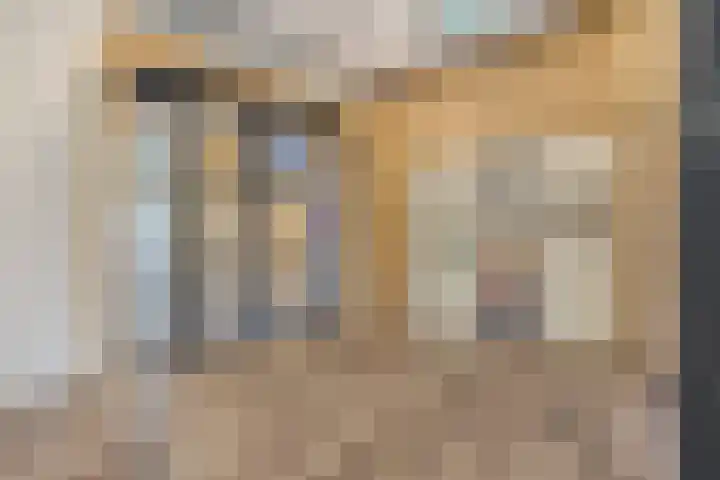 Laan van Vollenhove 568 Zeist thumbnail 26