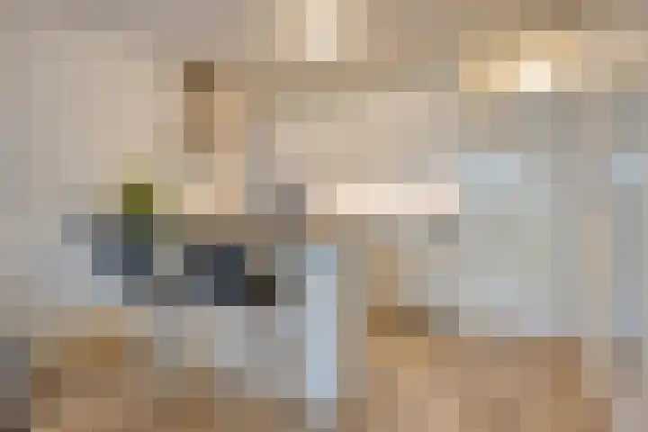 Laan van Vollenhove 568 Zeist thumbnail 8