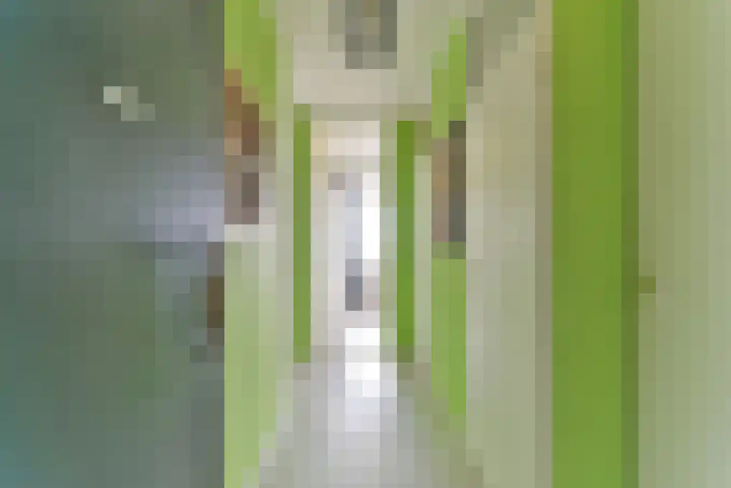 Laan van Vollenhove 596 BIS Zeist thumbnail 20