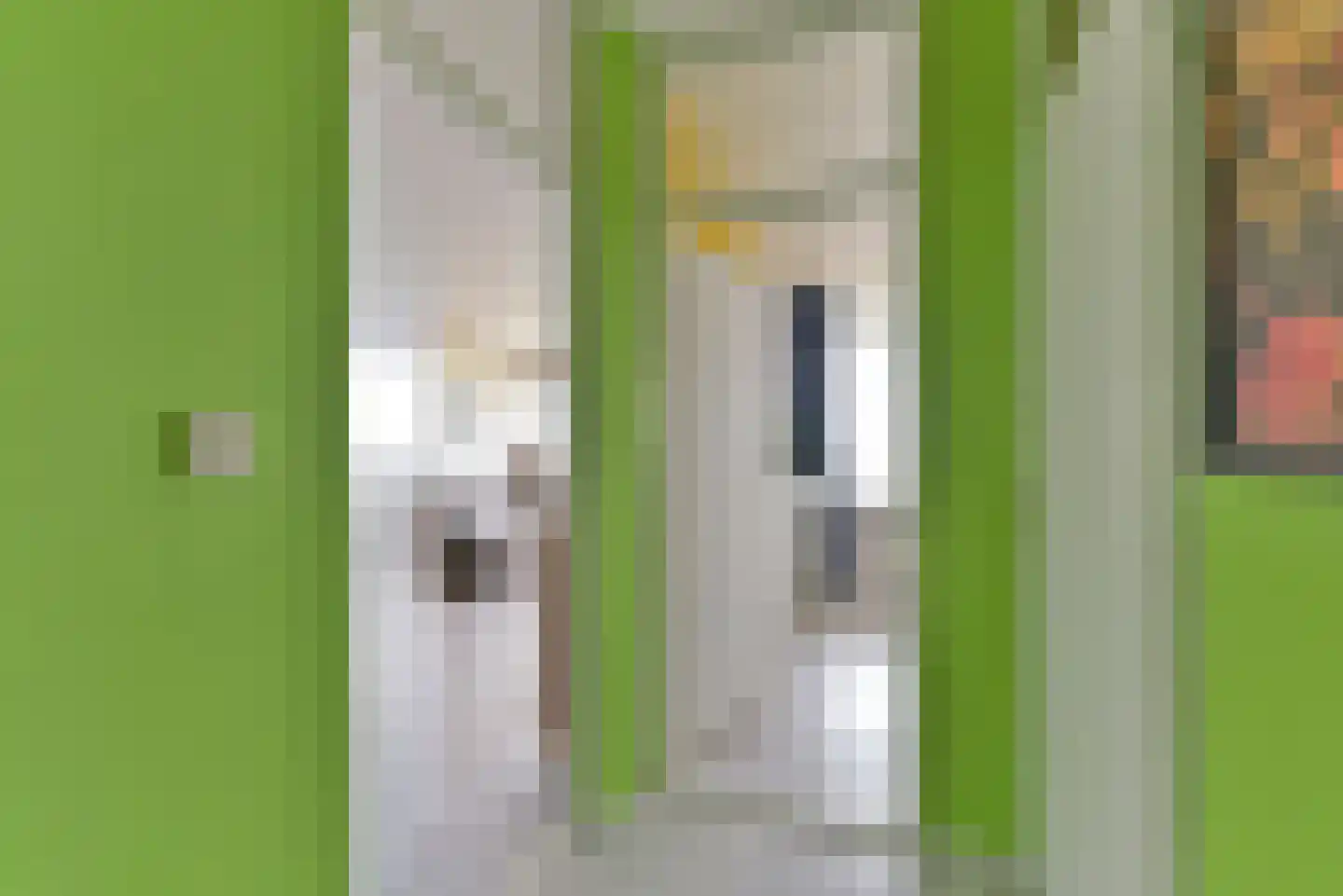 Laan van Vollenhove 596 BIS Zeist thumbnail 21