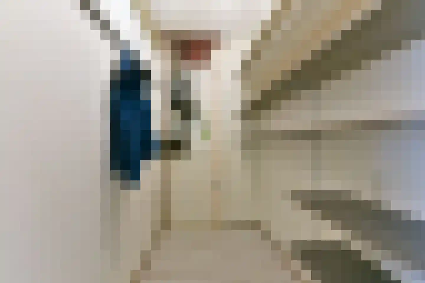 Laan van Vollenhove 596 BIS Zeist thumbnail 39