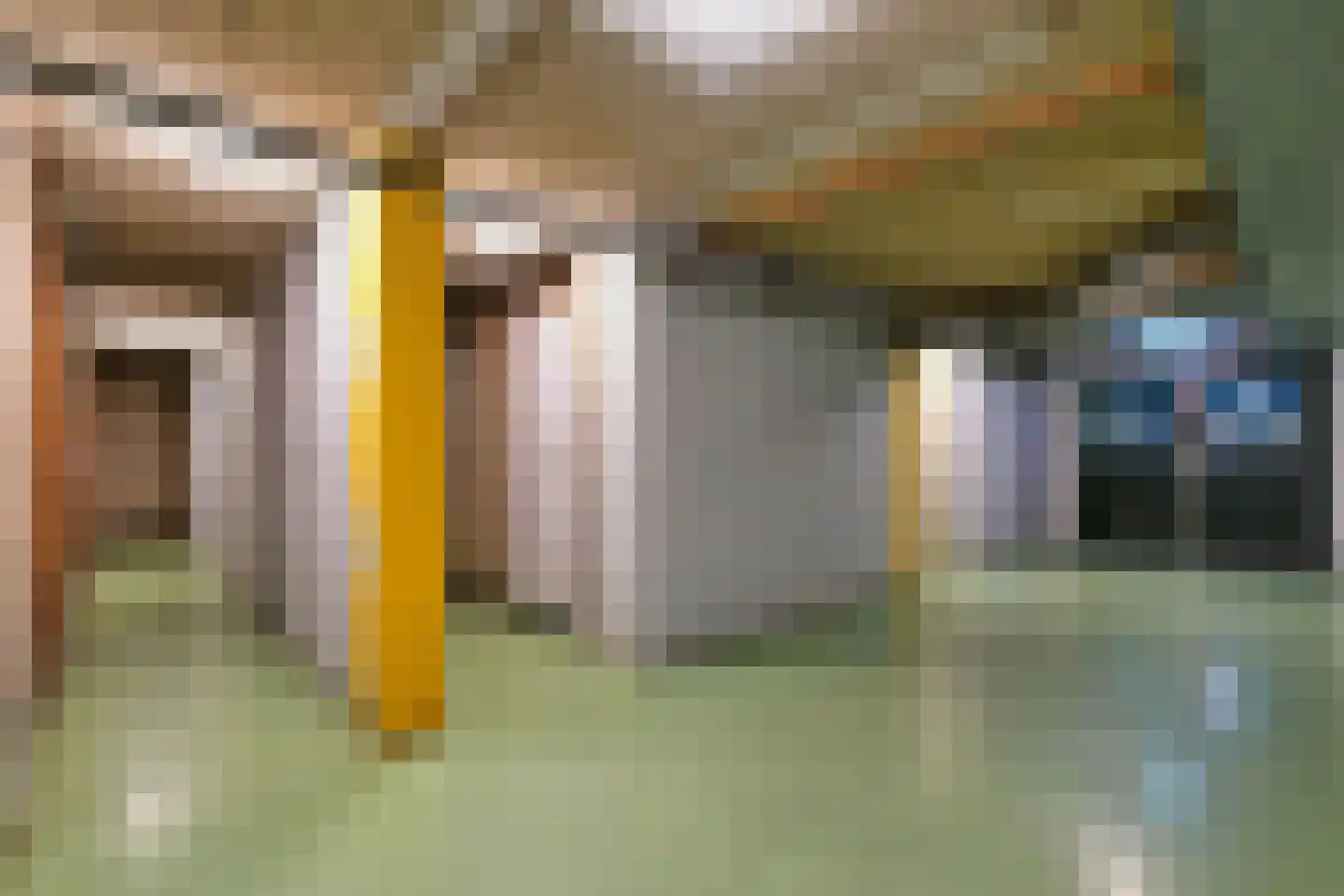 Laan van Vollenhove 596 BIS Zeist thumbnail 40