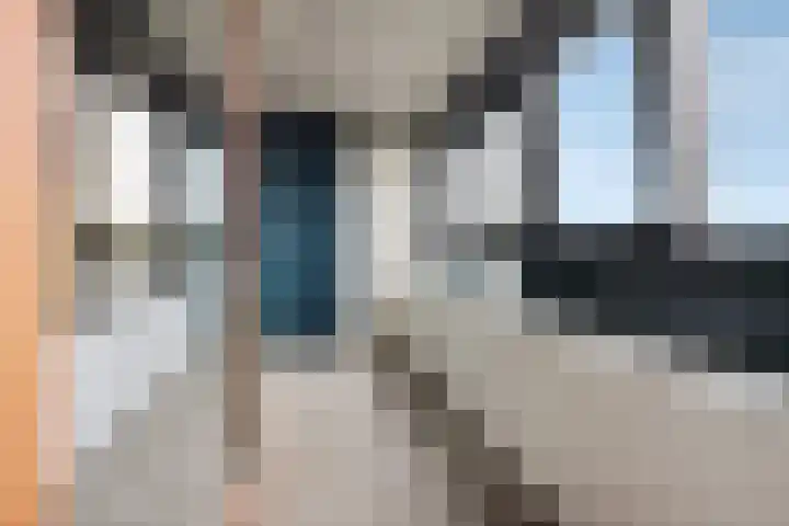 Laan van Vollenhove 614 BIS Zeist thumbnail 21