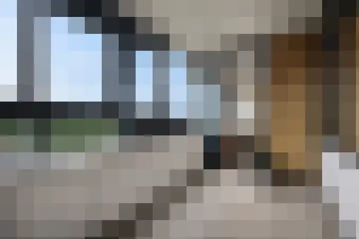 Laan van Vollenhove 614 BIS Zeist thumbnail 22