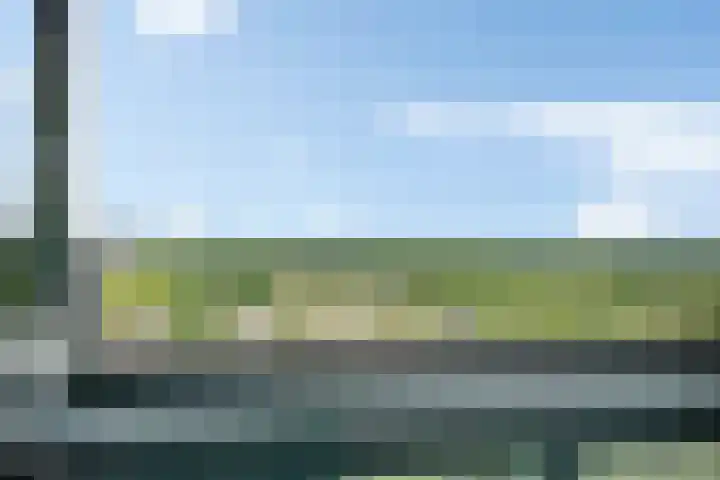 Laan van Vollenhove 614 BIS Zeist thumbnail 24