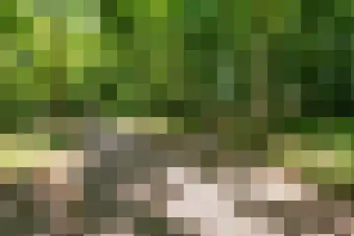 Laan van Vollenhove 614 BIS Zeist thumbnail 28