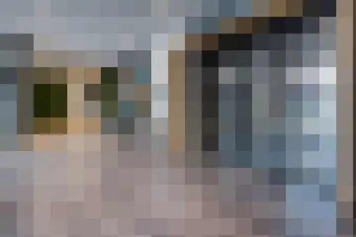 Laan van Vollenhove 614 BIS Zeist thumbnail 4
