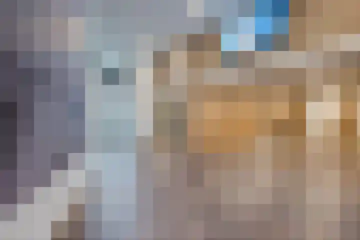 Laan van Vollenhove 614 BIS Zeist thumbnail 5