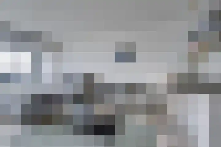 Laan van Vollenhove 622 Zeist thumbnail 10