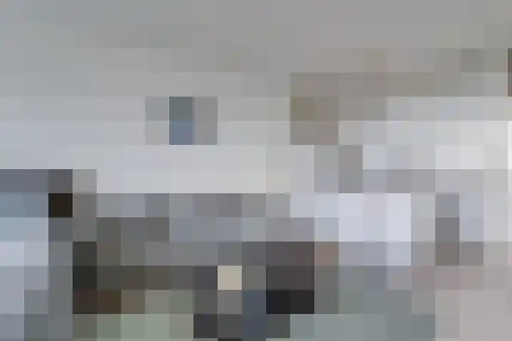 Laan van Vollenhove 622 Zeist thumbnail 11