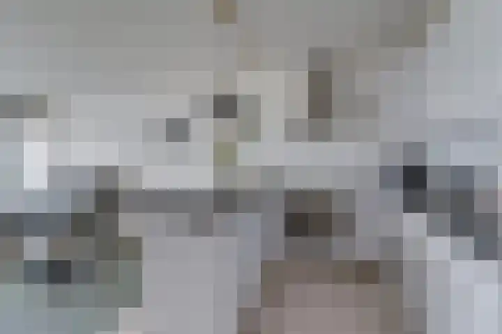 Laan van Vollenhove 622 Zeist thumbnail 17