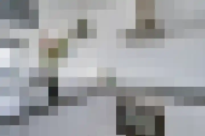 Laan van Vollenhove 622 Zeist thumbnail 19