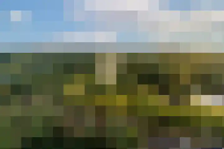 Laan van Vollenhove 622 Zeist thumbnail 26