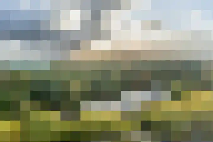 Laan van Vollenhove 622 Zeist thumbnail 27
