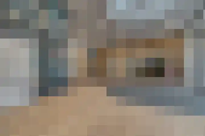 Laan van Vollenhove 622 Zeist thumbnail 31