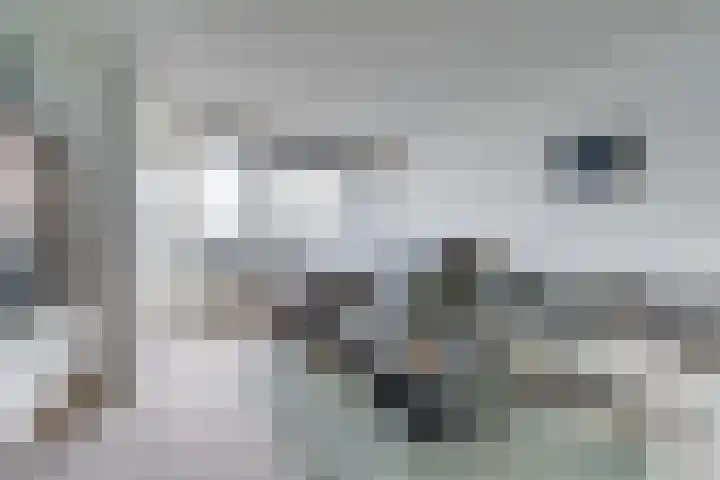Laan van Vollenhove 622 Zeist thumbnail 7