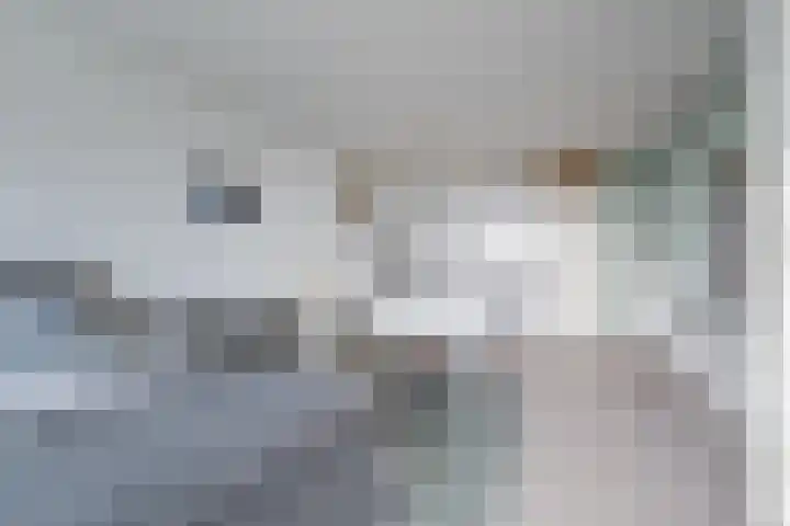 Laan van Vollenhove 622 Zeist thumbnail 8