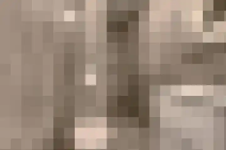 Laan van Vollenhove 690 Zeist thumbnail 24