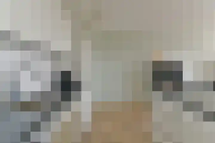 Laan van Vollenhove 692 Zeist thumbnail 16