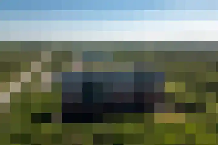 Laan van Vollenhove 692 Zeist thumbnail 24