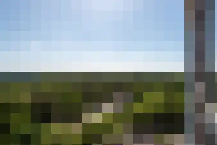 Laan van Vollenhove 692 Zeist thumbnail 25