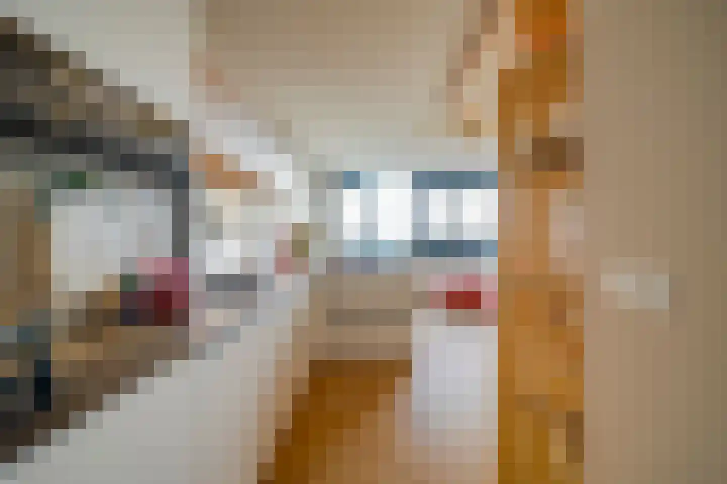 Laan van Vollenhove 696 Zeist thumbnail 11