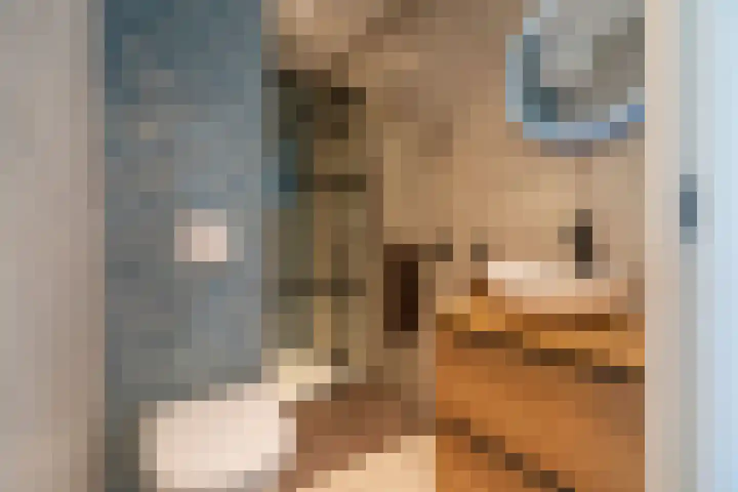 Laan van Vollenhove 696 Zeist thumbnail 4