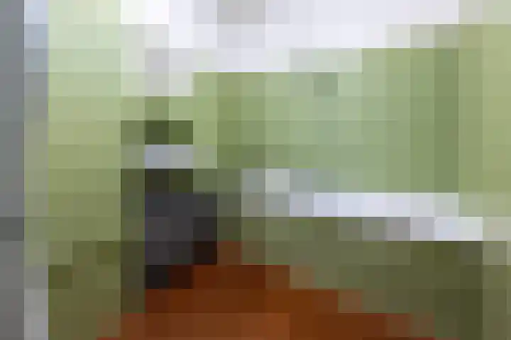 Laan van Vollenhove 714 BIS Zeist thumbnail 17
