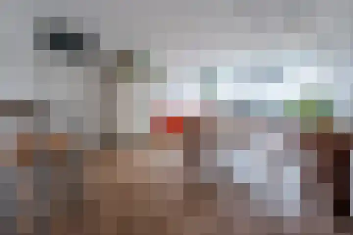 Laan van Vollenhove 714 BIS Zeist thumbnail 7