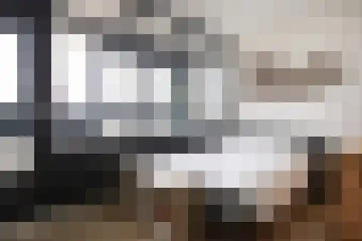 Laan van Vollenhove 722 Zeist thumbnail 12