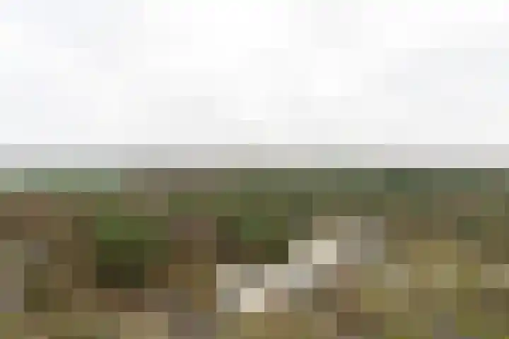 Laan van Vollenhove 722 Zeist thumbnail 16