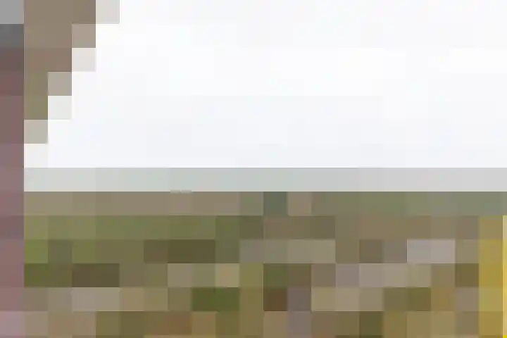 Laan van Vollenhove 722 Zeist thumbnail 17