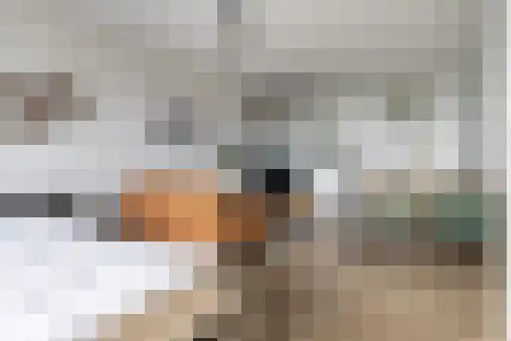 Laan van Vollenhove 722 Zeist thumbnail 19