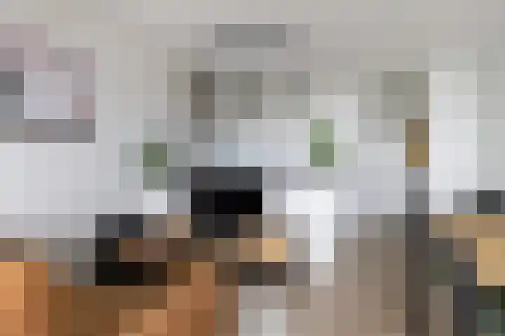 Laan van Vollenhove 722 Zeist thumbnail 20
