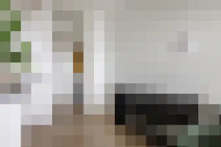 Laan van Vollenhove 722 Zeist thumbnail 23