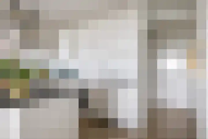 Laan van Vollenhove 722 Zeist thumbnail 24