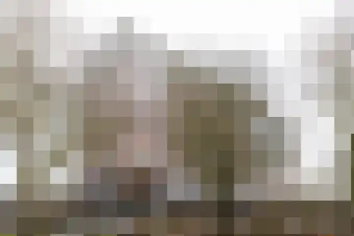 Laan van Vollenhove 722 Zeist thumbnail 28