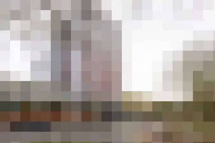 Laan van Vollenhove 722 Zeist thumbnail 29