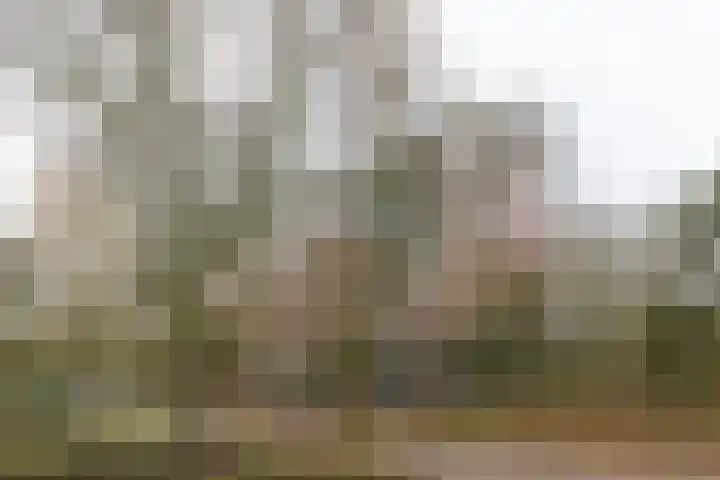 Laan van Vollenhove 722 Zeist thumbnail 30