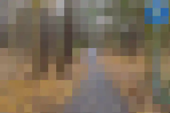 Laan van Vollenhove 722 Zeist thumbnail 31