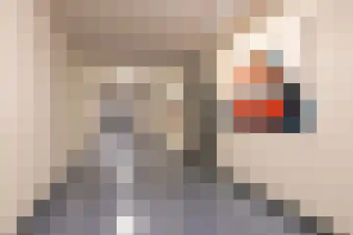 Laan van Vollenhove 722 Zeist thumbnail 6
