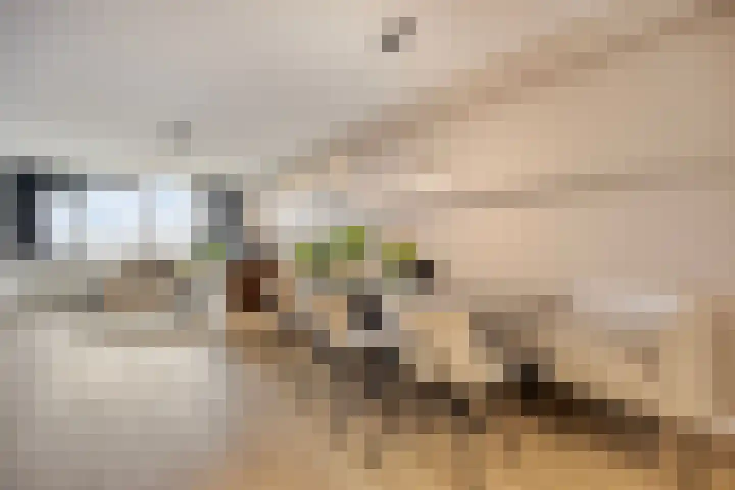 Laan van Vollenhove 740 Zeist thumbnail 15