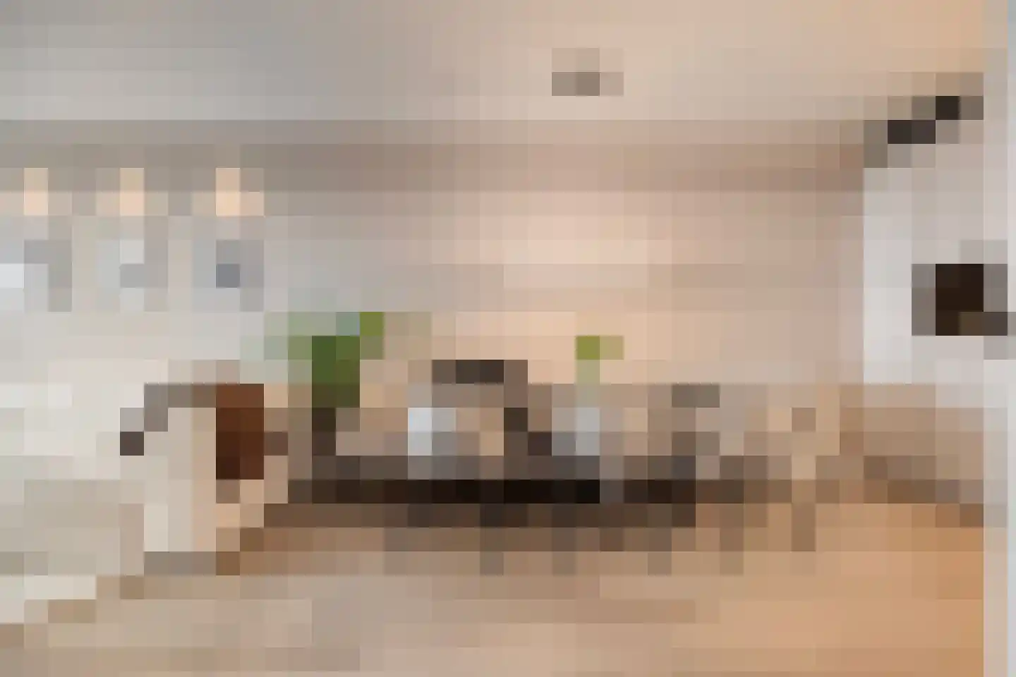 Laan van Vollenhove 740 Zeist thumbnail 16