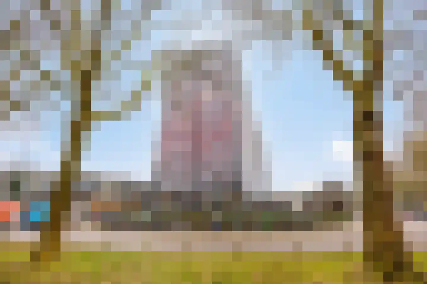 Laan van Vollenhove 740 Zeist foto 2