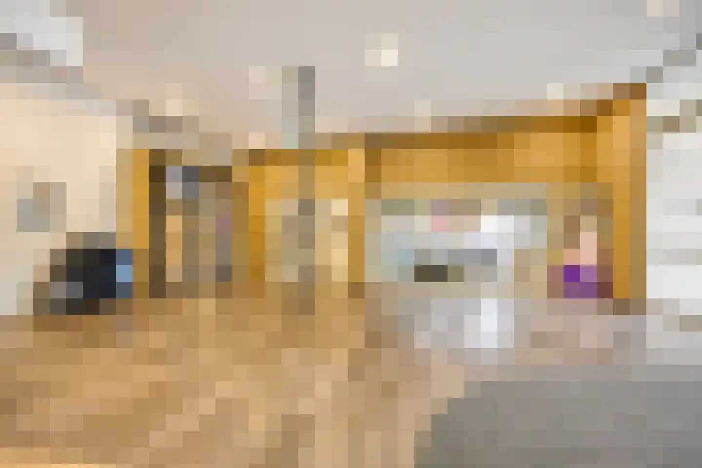 Laan van Vollenhove 740 Zeist thumbnail 36