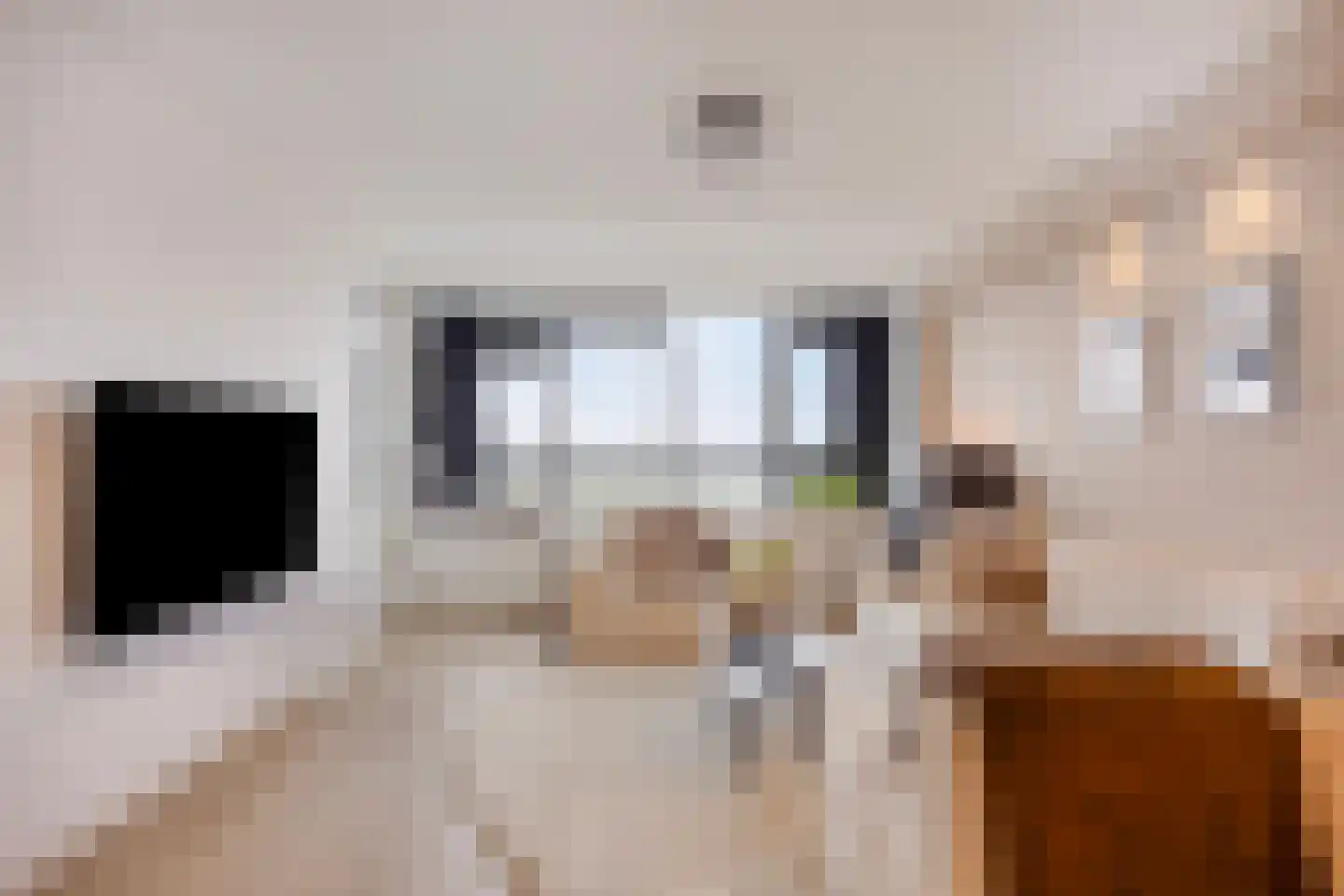 Laan van Vollenhove 740 Zeist thumbnail 4