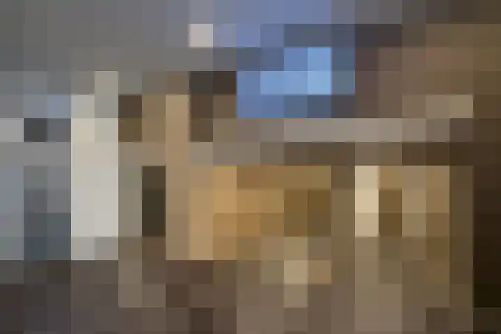 Laan van Vollenhove 762 Zeist thumbnail 14