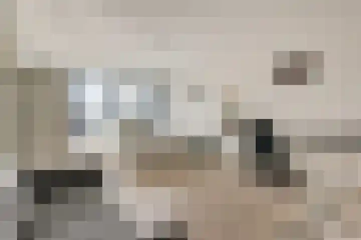 Laan van Vollenhove 762 Zeist thumbnail 17