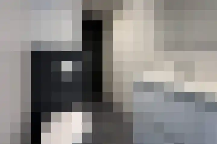 Laan van Vollenhove 762 Zeist thumbnail 27